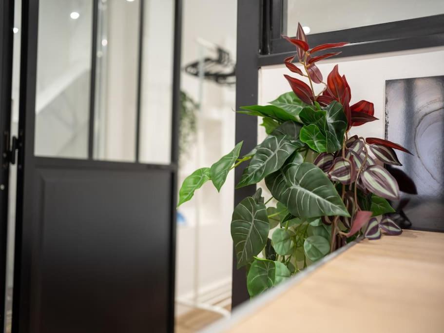 Appartement Tout Equipe Au Coeur Du Panier Vieux Port Marseille Exteriör bild